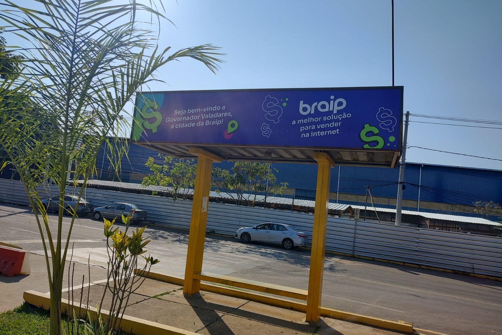 braip (3)